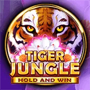 Quyền của người dùng tại 98bet chính thức