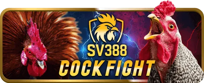 Chọn game nổ hũ có RTP cao tại 98bet